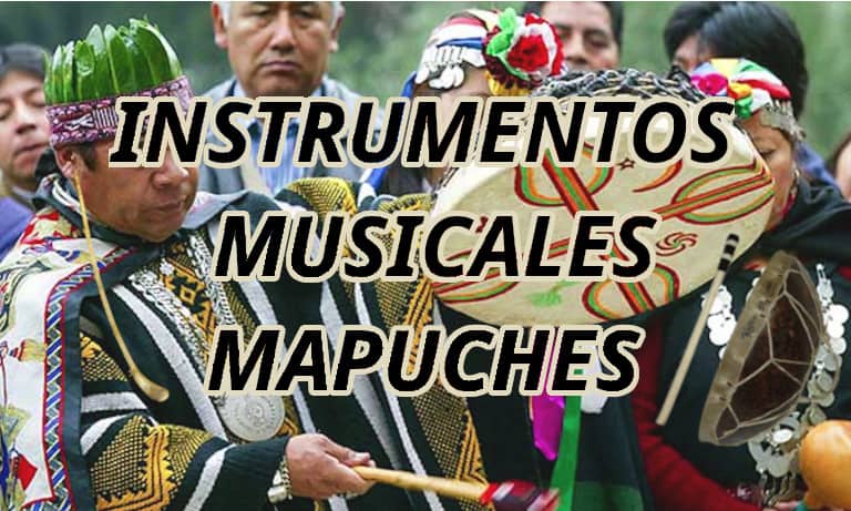 Instrumentos Musicales Mapuches
