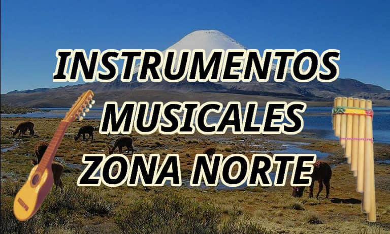 Instrumentos Musicales Zona Norte de Chile